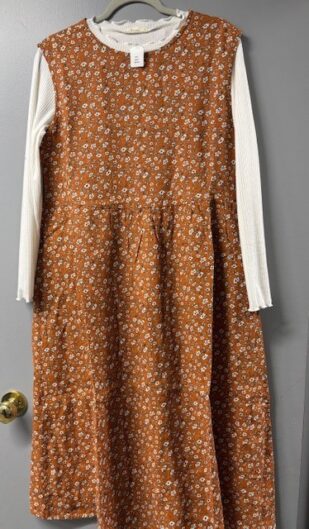 Ditzy Rust Jumper Dress